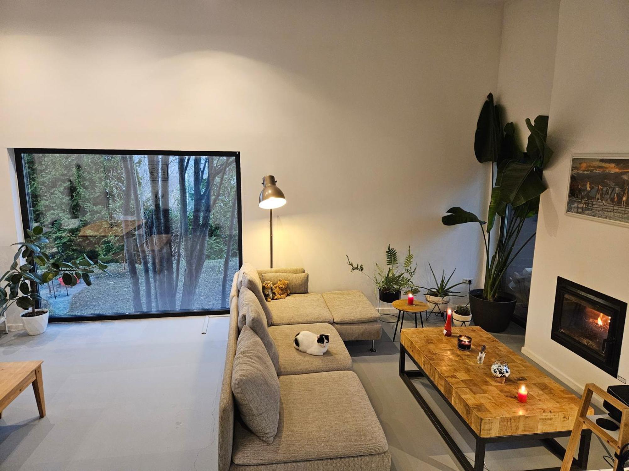 Black Walnut House With Indoor Outdoor Fireplace Izvoarele  ภายนอก รูปภาพ