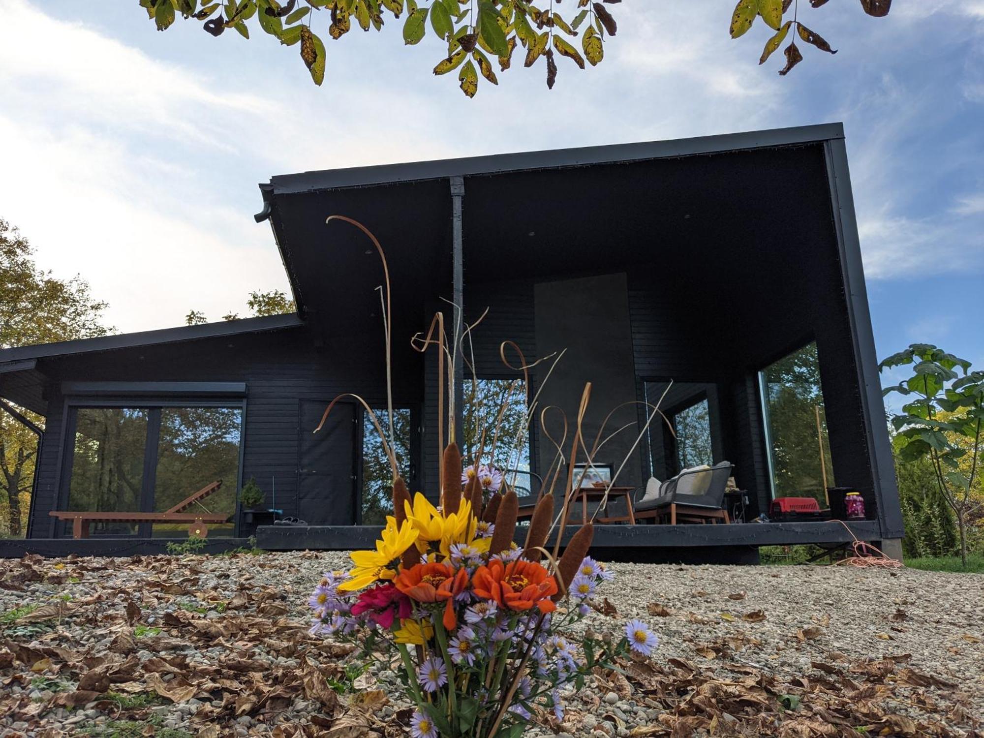 Black Walnut House With Indoor Outdoor Fireplace Izvoarele  ภายนอก รูปภาพ