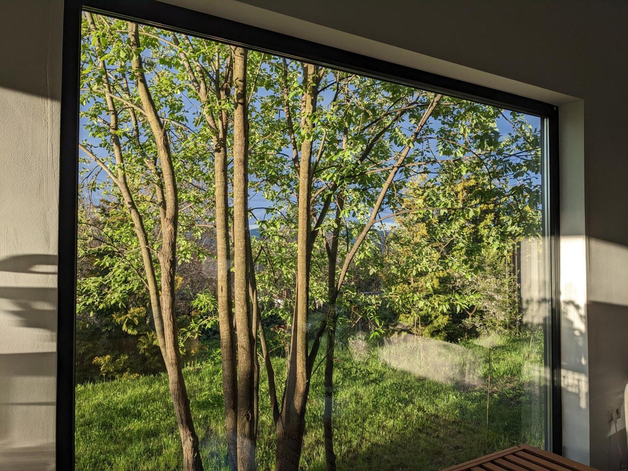 Black Walnut House With Indoor Outdoor Fireplace Izvoarele  ภายนอก รูปภาพ