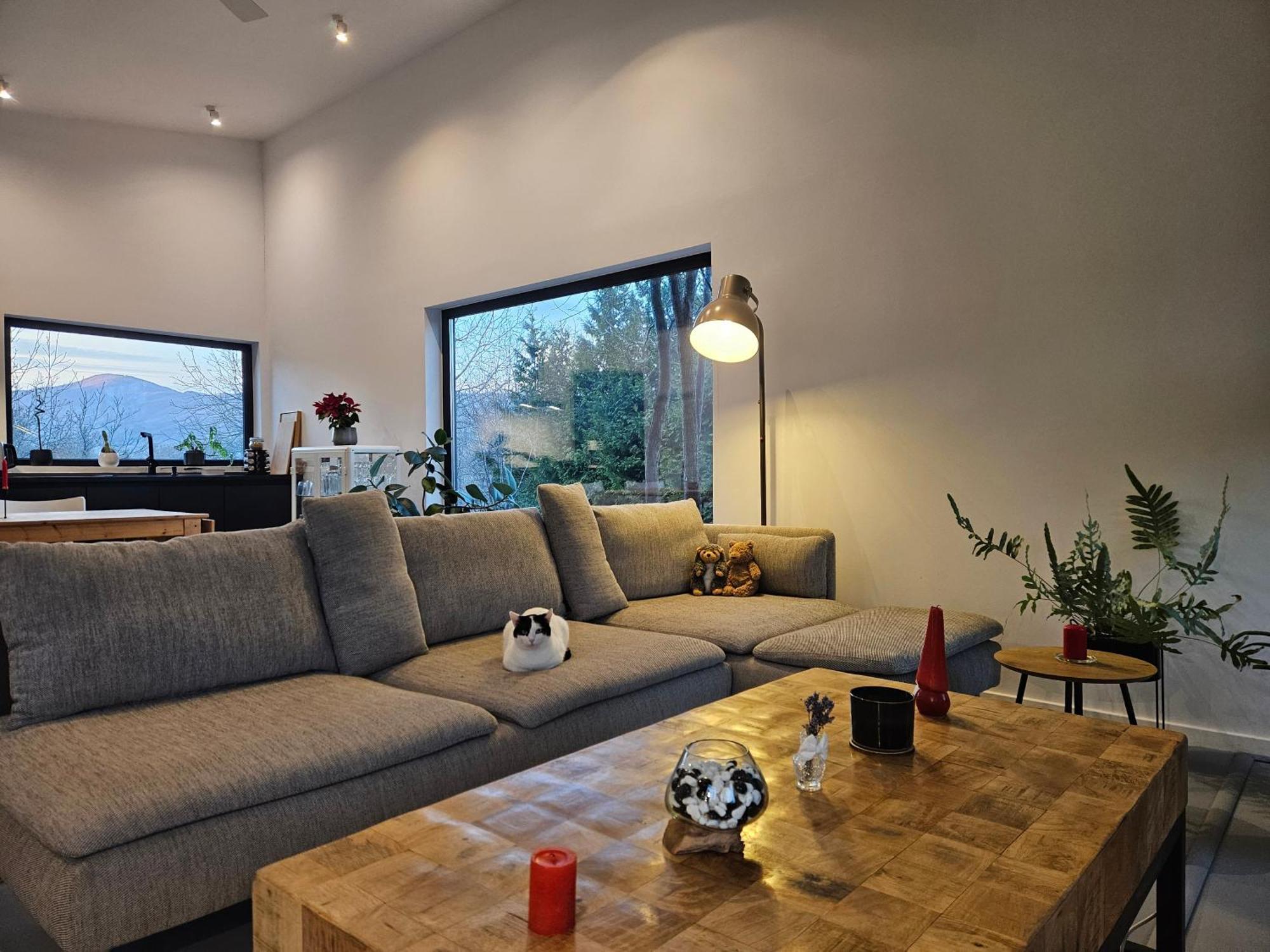 Black Walnut House With Indoor Outdoor Fireplace Izvoarele  ภายนอก รูปภาพ