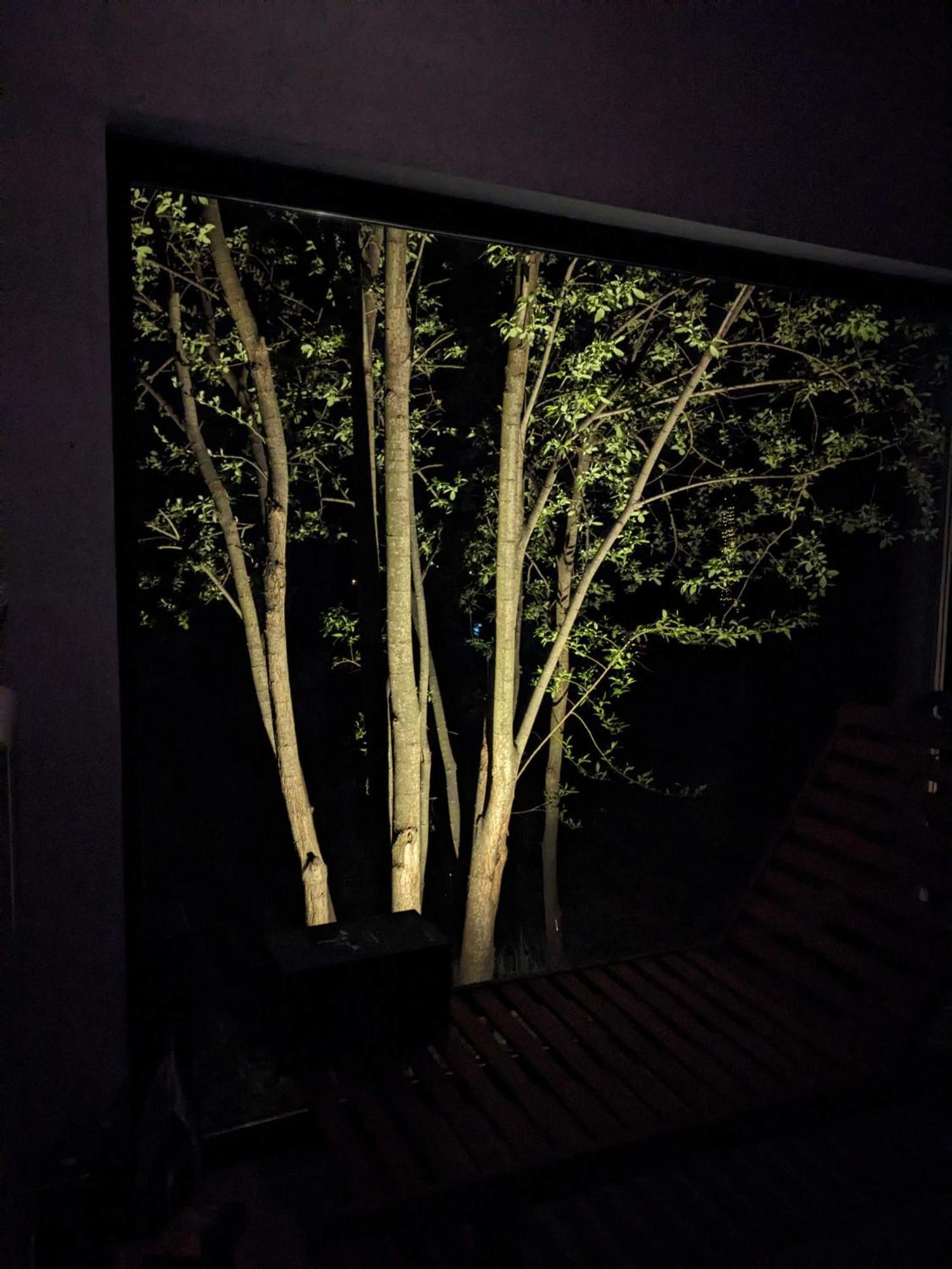 Black Walnut House With Indoor Outdoor Fireplace Izvoarele  ภายนอก รูปภาพ